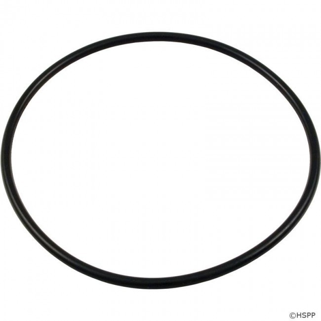 O-Ring Replacement for Hayward Micro Star-Clear Cartridge Filter